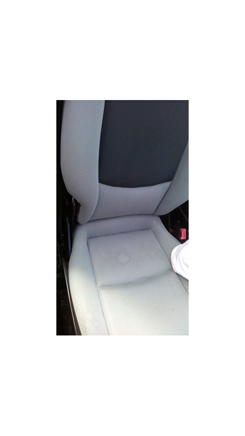 Vorher Polsterreinigung