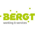 Bergt Consulting GmbH & Co. KG