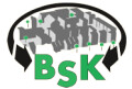 Bild: Berners Sanierungs Konzepte GmbH in Trier