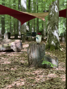 Friedwald