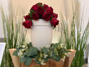 IMG-20260210-WA0004.jpg