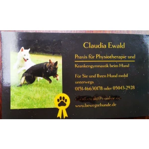 BewegteHunde Physiotherapie für Hunde