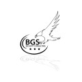BGS Security GbR
