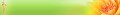 Logo Bingenheimer Heidrun