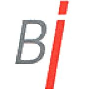 Logo Birken Immobilien