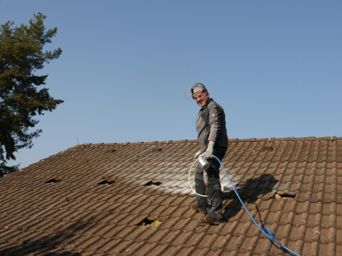Mardervergrämung am Dachstuhl
