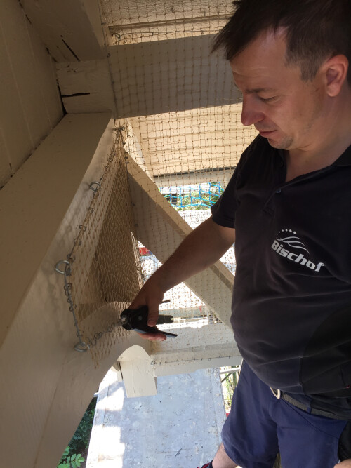 Schwalbenabwehr - Taubenabwehr