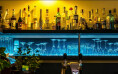 Bild: Bistro Harmony in München