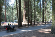 Yosemite-Nationalpark