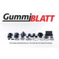 Blatt & Co. GmbH Techn. Gummiwaren