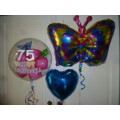 Blickfang Balloons S. Carstens