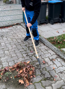 objektbetreuung .jpg