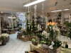 Bild: Blumen Berger