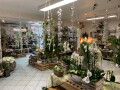 Bild: Blumen Berger in Oberhausen, Rheinland