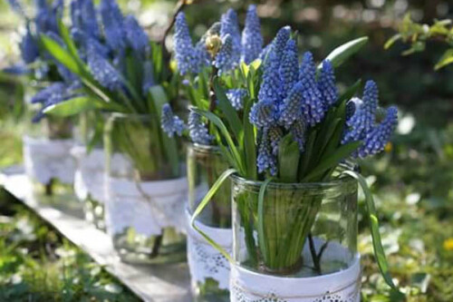 Blaue-Blumen