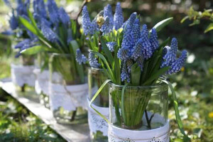 Blaue-Blumen