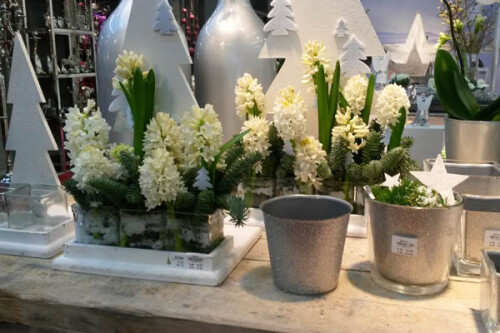 weisse-Blumen
