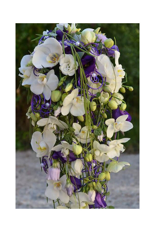 Blumen-weiss-und-lila