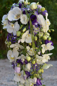 Blumen-weiss-und-lila