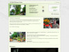 Bild: Blumen Fichter Inh. V. Fichter-Didinger