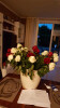 Bild: Blumen Fiorissimo