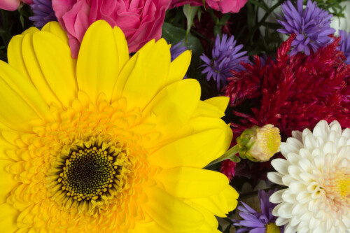 Blumenladen