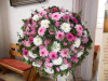 Bild: Blumen Hoffmann