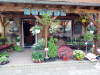 Bild: Blumen in Wörmlitz - Sylvia Ertel