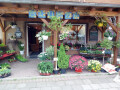 Blumenladen in Halle Saale bietet Blumen, Pflanzen, Gestecke für jeden Anlass