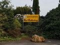 Bild: Blumen Küllenberg Inh. Ines Kahrl in Leverkusen
