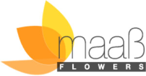 Blumen Maaß in München