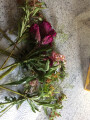 Bild: Blumen Ulrike Keil-Schemmann in Solingen