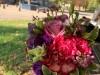 Bild: Blumen Vollmer Fleurop-Fachgeschäft Blumenlieferservice