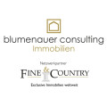 Blumenauer Consulting, Immobilien