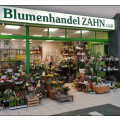 Blumenhandel Zahn GbR Fil. Beetzsee Center