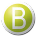 Logo BonSure GmbH