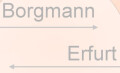 Bild: Borgmann Kamine & Elektro in Erfurt