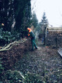 Bild: Böttcher Garten- Und Landschaftsbau in Hamburg