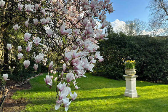 Der Garten des Boutique Hotel Rosengarten Hamburg