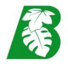 Bild: Boymann Garten- und Landschaftsbau GmbH