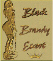 Bild: Brandy Edel Escort Lady und Callgirl Nürnberg Deutschland in Nürnberg, Mittelfranken
