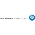 Brasseler Gebr. GmbH & Co. KG Dentalinstrumente