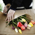 Brigitte Meyer Blumen- und Gemüsegroß- handel