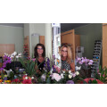 Brümmer Optik Inh.: Birgit Hagel