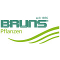 Bruns-Pflanzen-Export