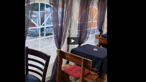 XiaoYing_Video_1698056877131_HD (4).mp4