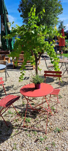 Außenanlage Bruzzlstubb