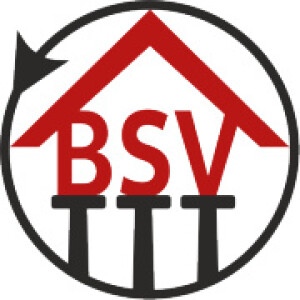 BSV-Express Logo