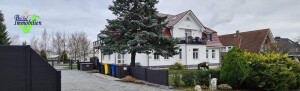 Immobilienmakler in Rostock