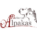 Bühlertal Alpakas - Bellapaca Gbr